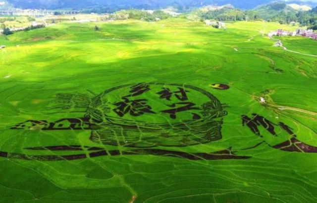 pp电子官方网站登录投资集团发起&ldquo;乡村振兴微电影评选推广项目&rdquo; 